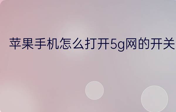 苹果手机怎么打开5g网的开关