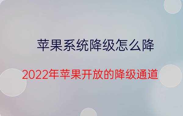 苹果系统降级怎么降(2022年苹果开放的降级通道)