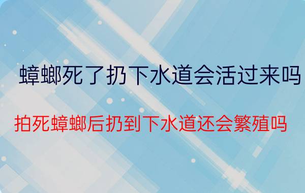 蟑螂死了扔下水道会活过来吗（拍死蟑螂后扔到下水道还会繁殖吗）