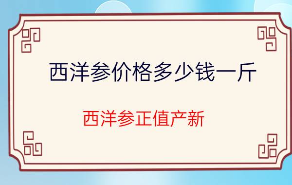 西洋参价格多少钱一斤（西洋参正值产新）