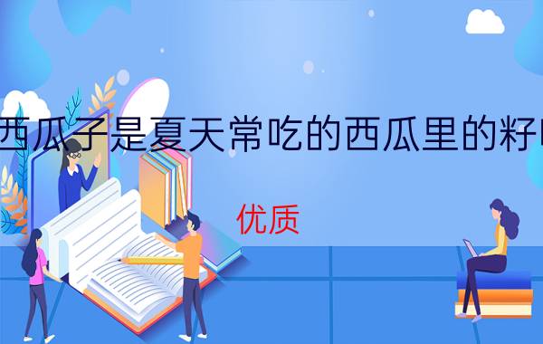 西瓜子是夏天常吃的西瓜里的籽吗？优质