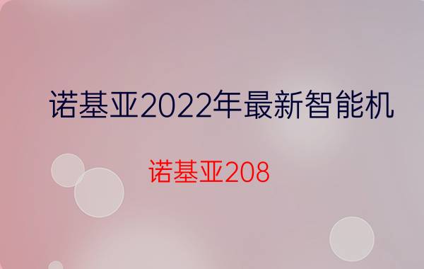 诺基亚2022年最新智能机（诺基亚208）