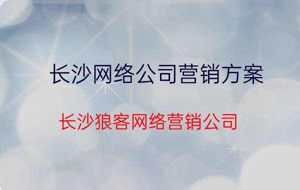 长沙网络公司营销方案（长沙狼客网络营销公司）