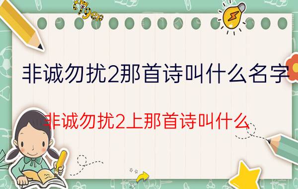 非诚勿扰2那首诗叫什么名字（非诚勿扰2上那首诗叫什么）