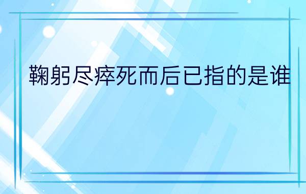 鞠躬尽瘁死而后已指的是谁