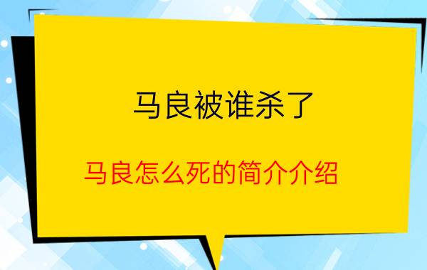 马良被谁杀了（马良怎么死的简介介绍）