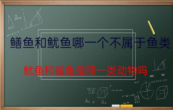 鳝鱼和鱿鱼哪一个不属于鱼类（鱿鱼和鲨鱼是同一类动物吗）